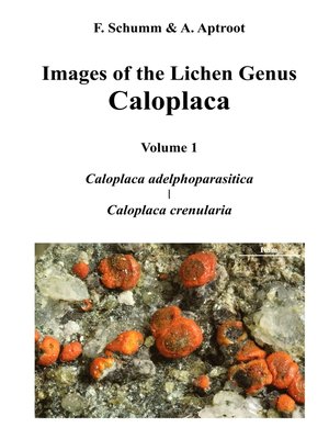 cover image of Images of the Lichen Genus Caloplaca, Vol 1